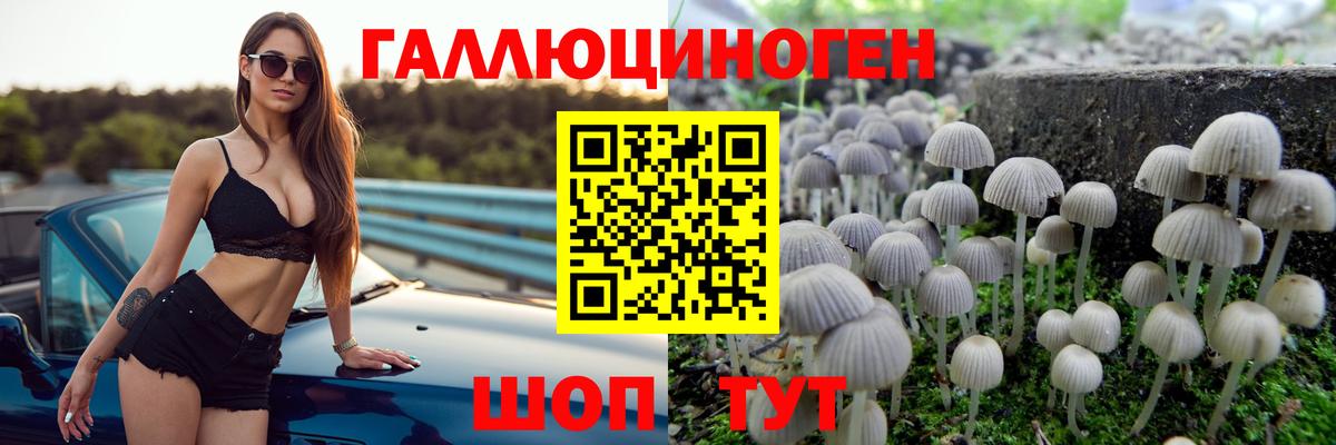 где купить наркотик  Вход с VPN  Людиново  Псилоцибиновые грибы Psilocybine cubensis 
